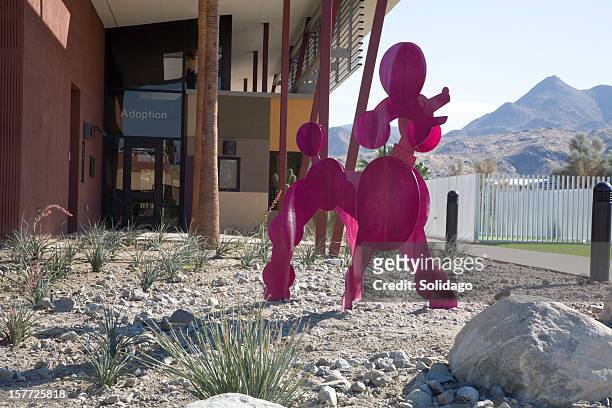 new palm springs animal shelter - humane society stock pictures, royalty-free photos & images