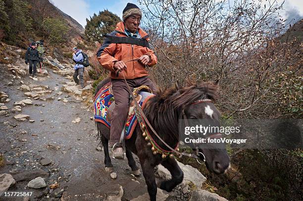 sherpa riding horse down mountain trail himalayas nepal - khumbu stockfoto's en -beelden