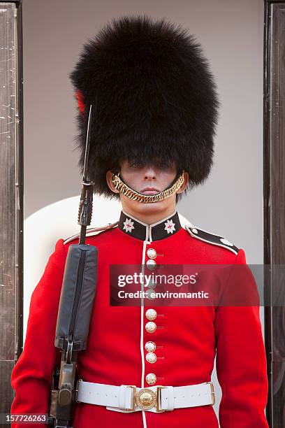 coldstream guard at the tower of london. - queens guard stock pictures, royalty-free photos & images