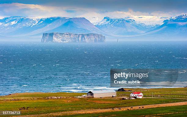 hvalnes, drangey island - skagafjordur stock pictures, royalty-free photos & images