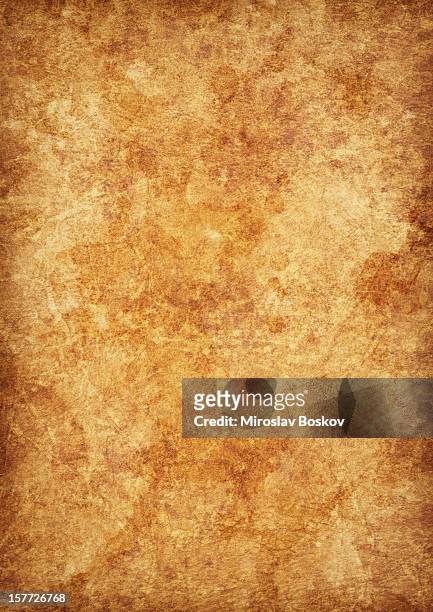high resolution antique animal skin parchment mottled grunge vignette texture - mottled skin 個照片及圖片檔