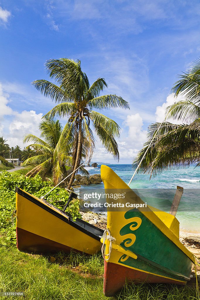 Martin's Bay, Barbados