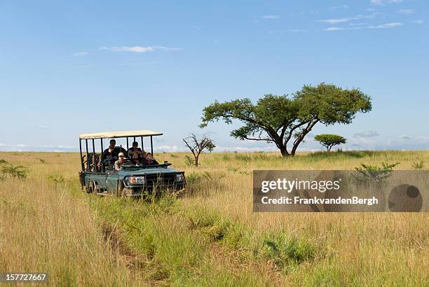 safari vehicle at the savannah - kruger game reserve stock pictures, royalty-free photos & images