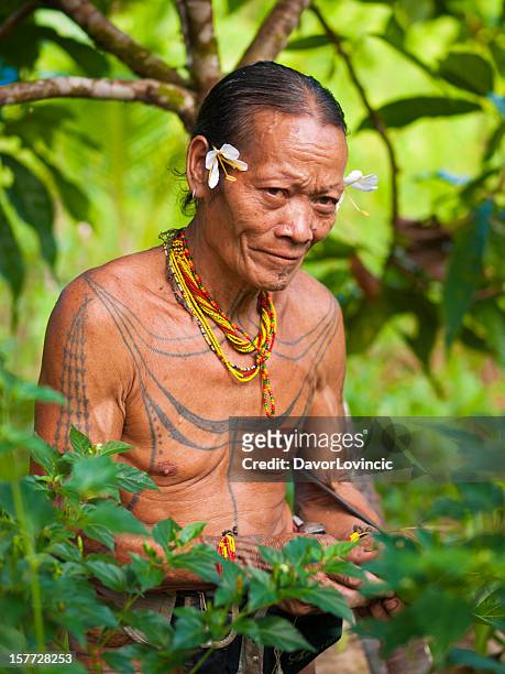 mentawai man - indonesia sumatra mentawai stock pictures, royalty-free photos & images