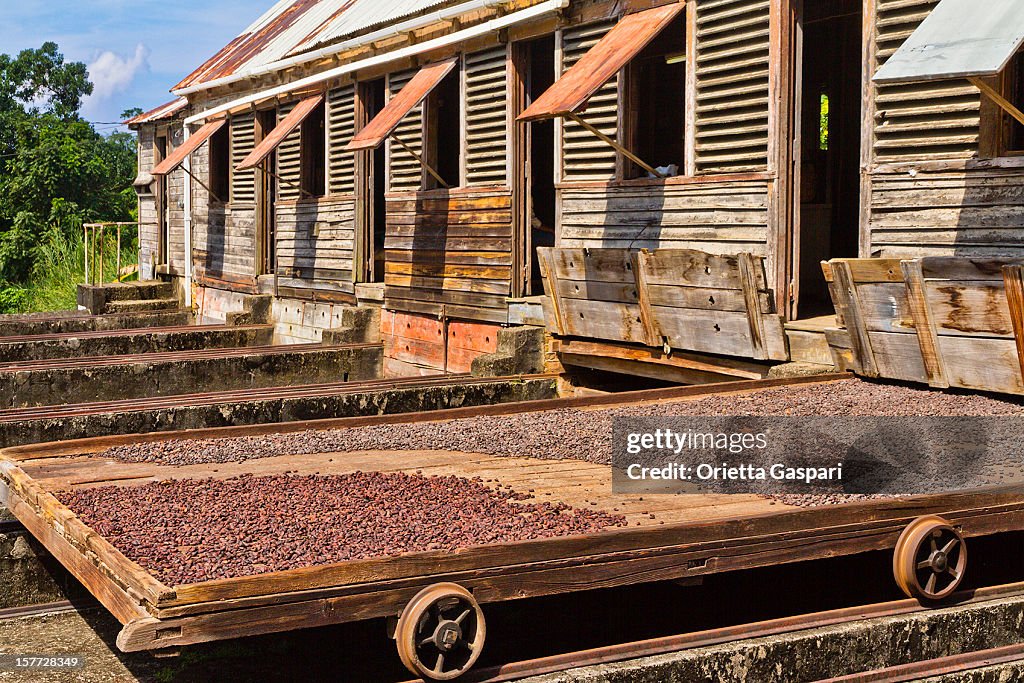 Douglaston Spice Estate, Grenada W.I.