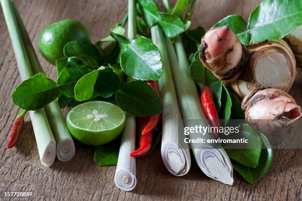 thai tom yam soup herbs and spices. - lemongrass stockfoto's en -beelden