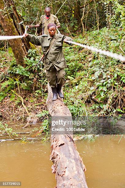 Three Rope Bridge Ranger 111 Ranger Bridge Stock Photos, High-Res Pictures, and Images - Getty ...