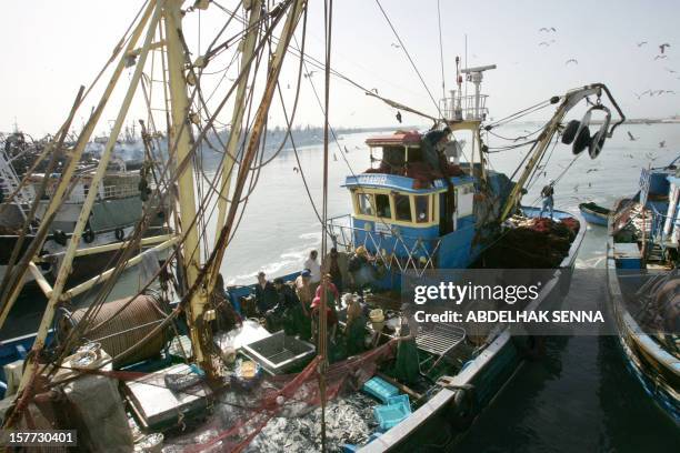 Fishermen work in the port of Laayoune, Western Sahara, the world's largest sardine port, 07 November 2005. Some 400 people including elected...