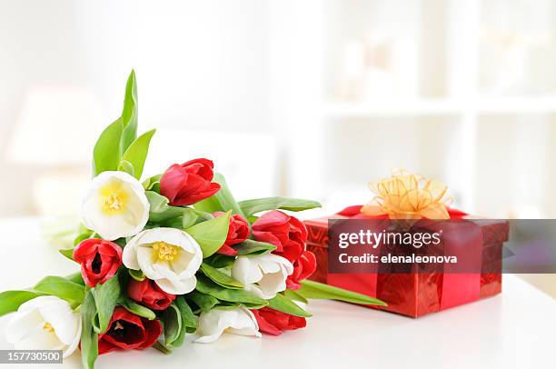 a bouquet of red and white tulips and a red gift box - happy birthday flowers images stock pictures, royalty-free photos & images