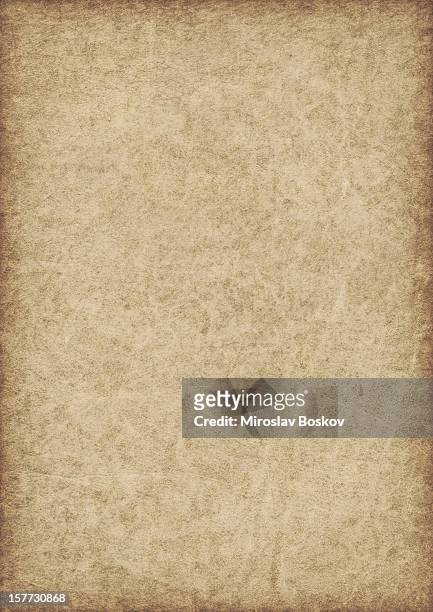 high resolution animal skin antique parchment vignette grunge texture - old parchment, background, burnt stock pictures, royalty-free photos & images