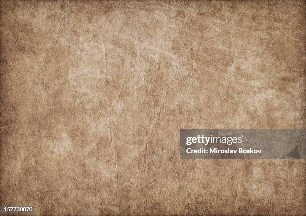 high resolution animal skin antique parchment vignette grunge texture - mottled skin 個照片及圖片檔