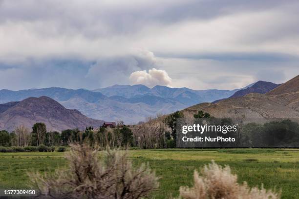 Drought, fire and pest infestations impact Montana forests in the western side of the state, including the Bitterroot Valley and the state capitol in...