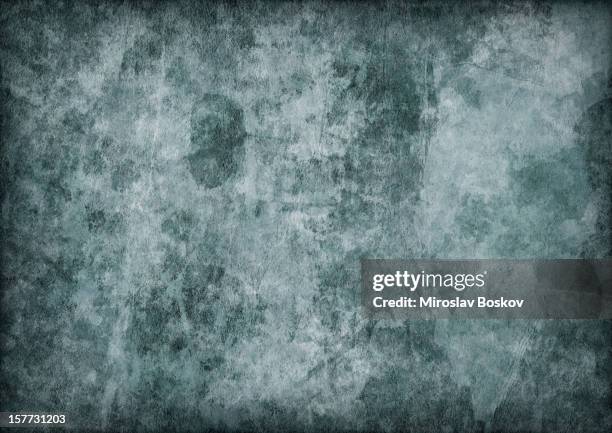 hi-res antique green animal skin parchment mottled vignette grunge texture - mottled skin 個照片及圖片檔