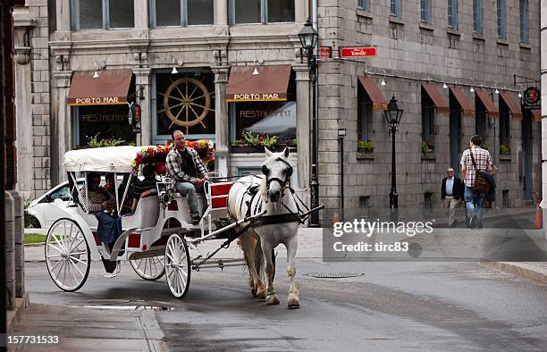 tourist horse and cart in historic montreal - wagen getrokken door een dier stockfoto's en -beelden