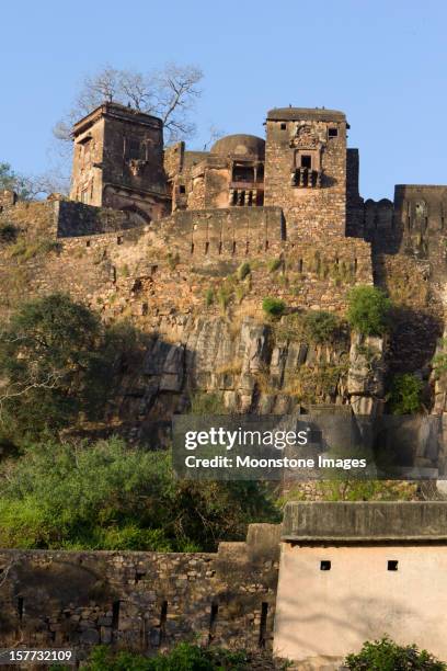 rathambhore fort inn rajasthan, india - ranthambore national park bildbanksfoton och bilder