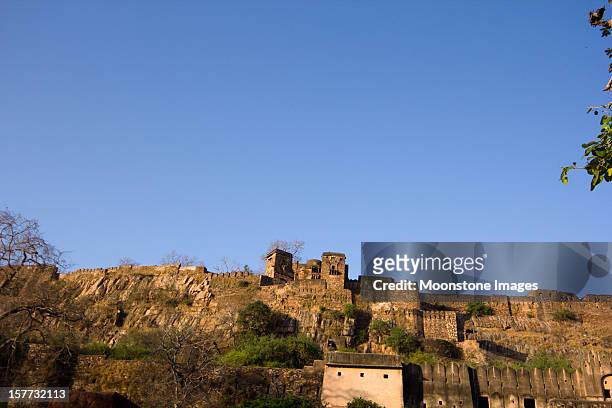 ranthambhore fort in rajasthan, india - ranthambore fort stock pictures, royalty-free photos & images