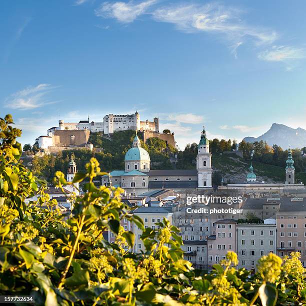 salzburg - salzburg stockfoto's en -beelden