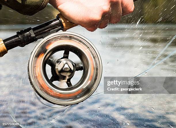 fishing action - fishing reel stock pictures, royalty-free photos & images