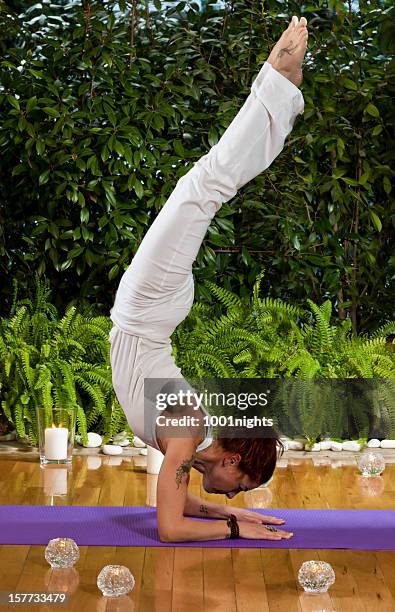 yoga - frau macht yoga stock-fotos und bilder