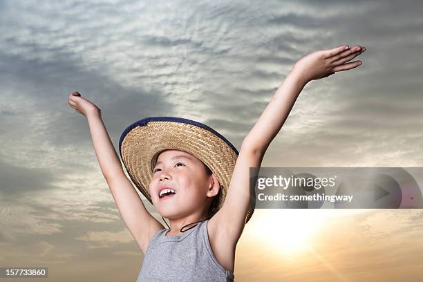 children playing in the sunset - alleen jongens stockfoto's en -beelden