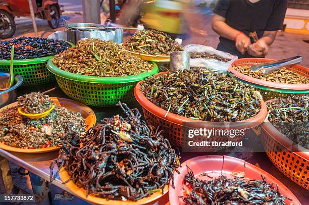 deep fried insectos para la venta en el sudeste de asia - insecto fotografías e imágenes de stock