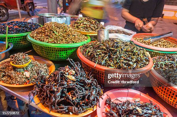 fried insects and bugs for sale in phnom penh, cambodia - cricket insect photos stock pictures, royalty-free photos & images