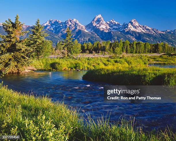 grand tetons parco nazionale - jackson wyoming foto e immagini stock