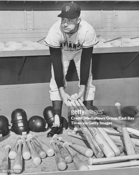 San Francisco Giants shortstop Harvey Kuenn checks over his supply of bats at an exhibition game in Phoenix, Ariz. On March 4, 1963.