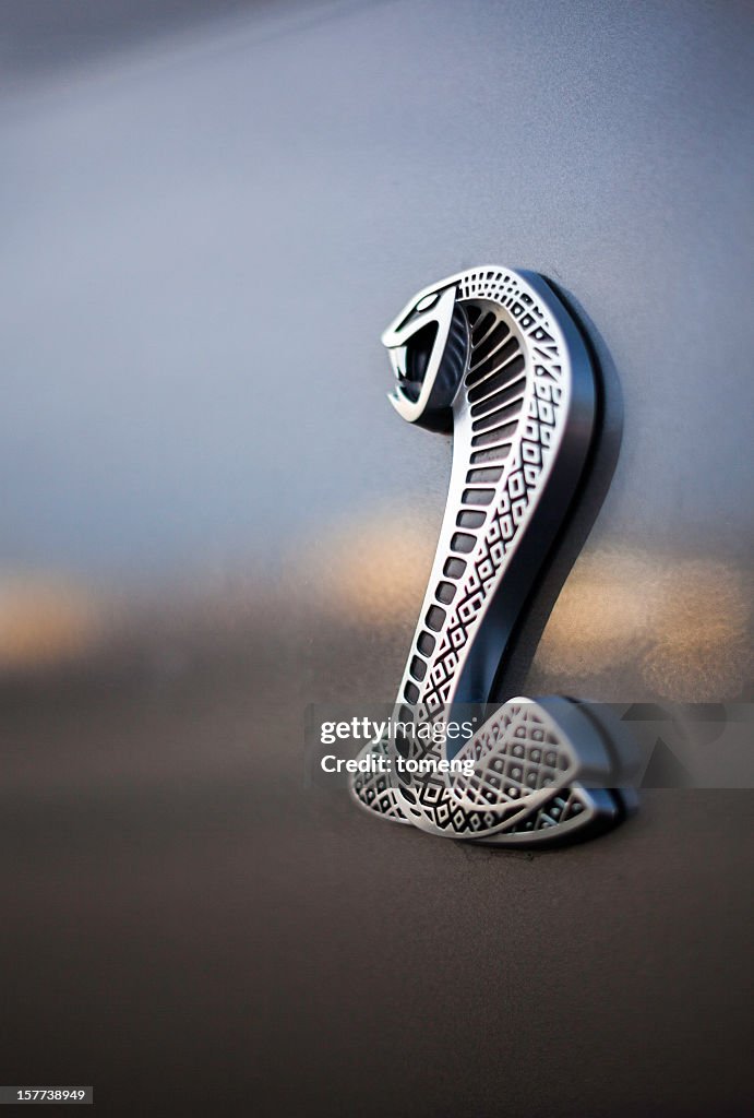 Shelby GT500 Badging Lateral