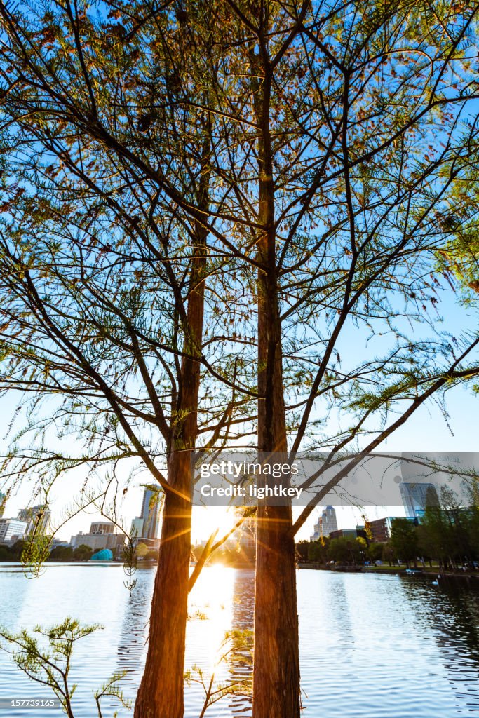 Orlando skyline nel parco