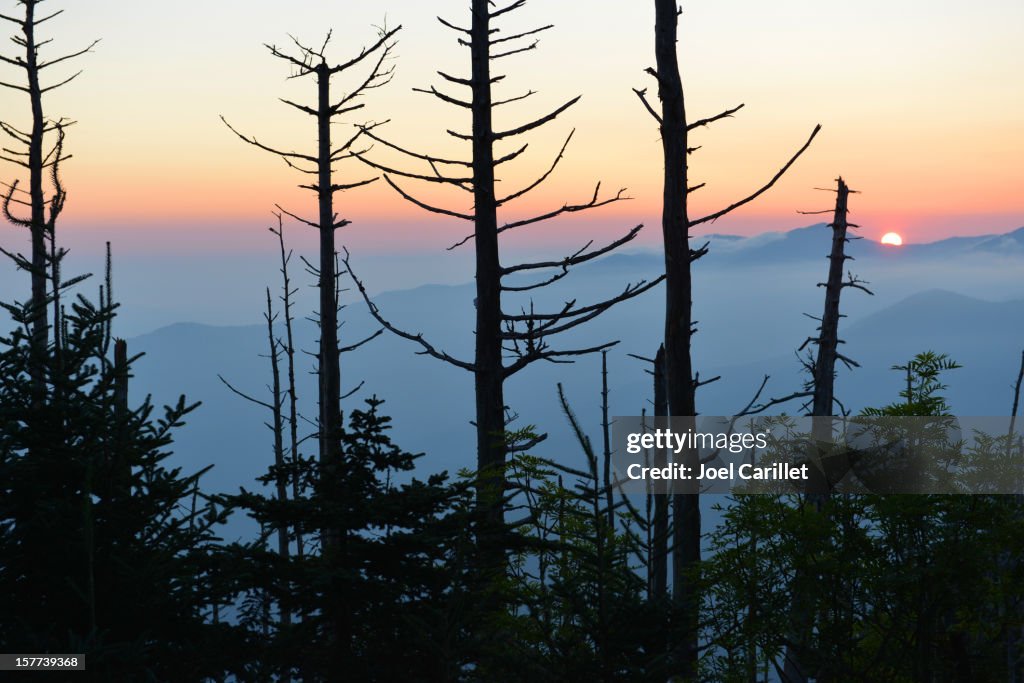 Smoky Mountain sunrise from Mt. LeConte