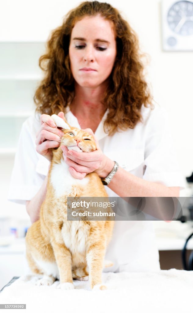Obter eyedrops do veterinário