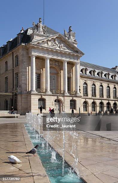 herzöge von burgund palace auf libération square in dijon, frankreich - palast stock-fotos und bilder
