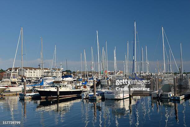 harbor in newport - newport rhode island stock pictures, royalty-free photos & images