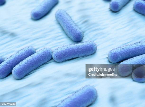 escherichia coli (e. coli.) - escherichia coli foto e immagini stock