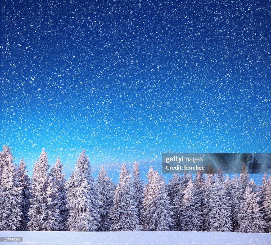 Winter-Landschaft