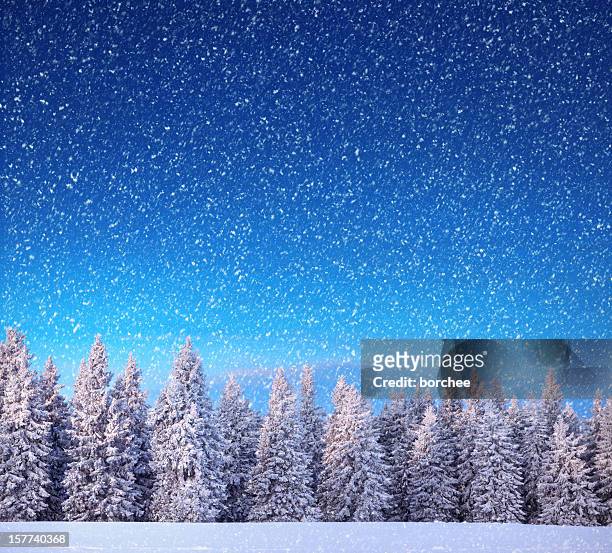 冬の風景 - 雪　降る ストックフォトと画像