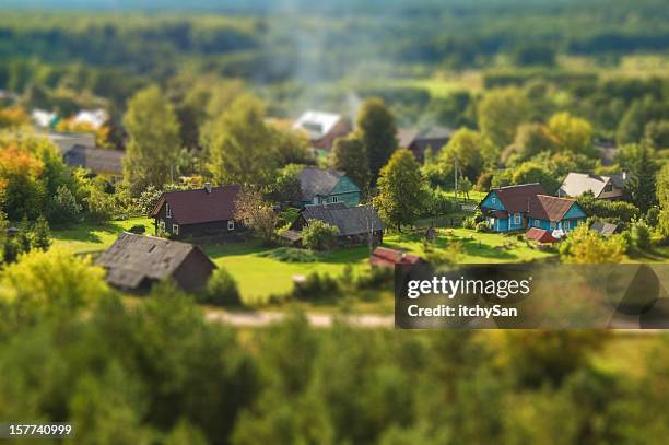 rural village tilt shift - tuinhek stockfoto's en -beelden