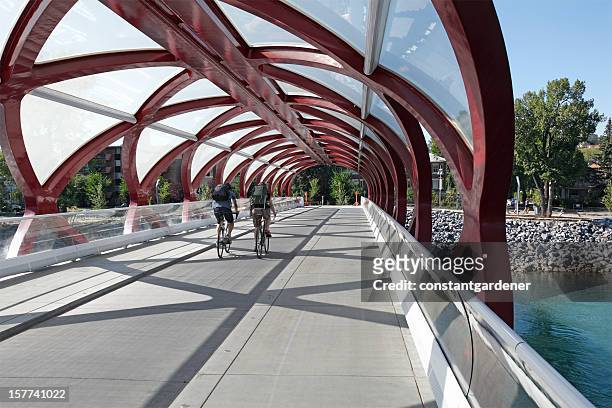cycling across the peace bridge calgary - calgary bridge stock pictures, royalty-free photos & images
