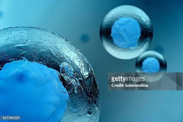 stem células - ampliação - fotografias e filmes do acervo