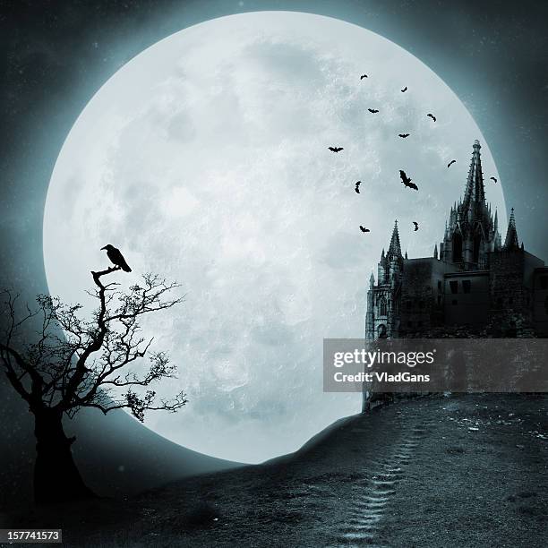 old castle - halloween scary stockfoto's en -beelden