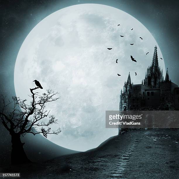 old castle - halloween scary bildbanksfoton och bilder