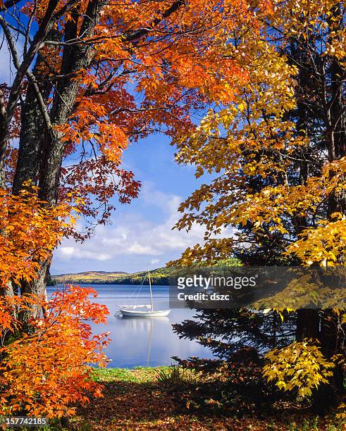 sailboat on lake framed by vibrant autumn foliage - michigan stock pictures, royalty-free photos & images