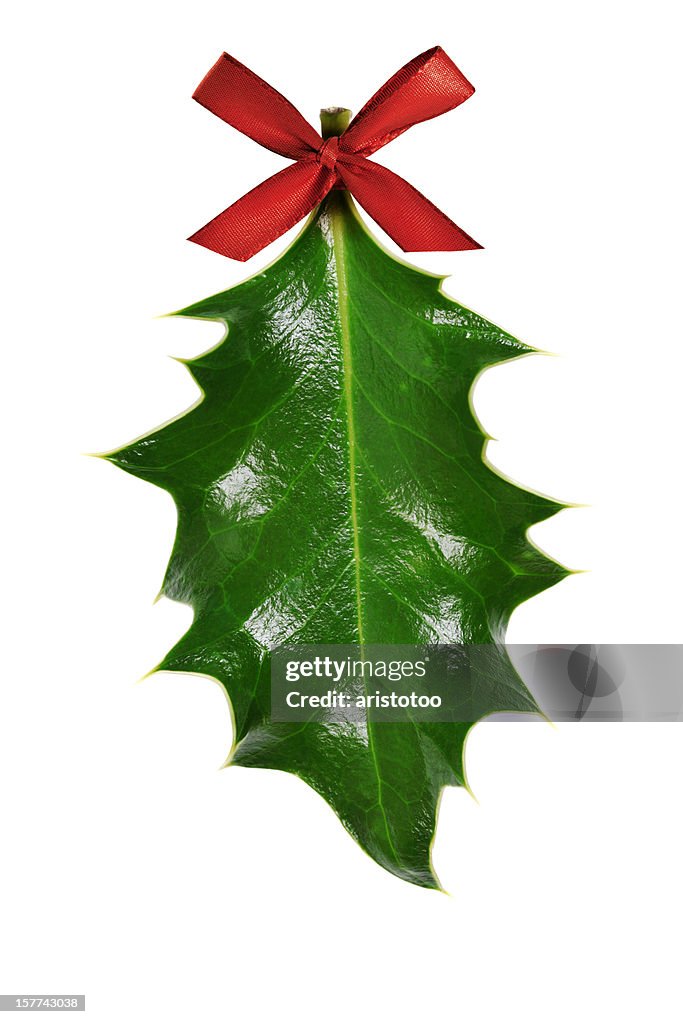 Holly hoja con cinta roja, Aislado en blanco