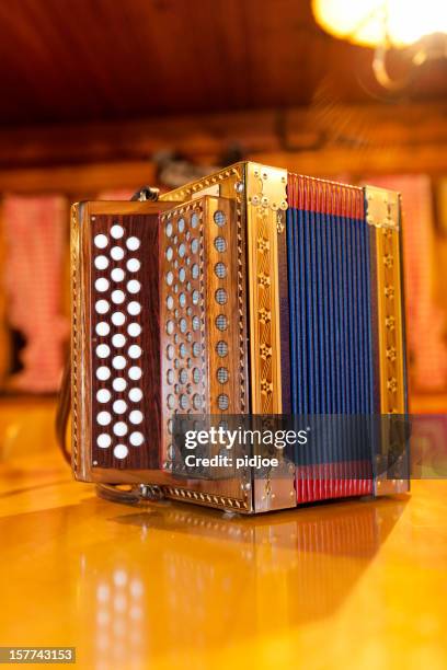 accordion - bandoneon bildbanksfoton och bilder