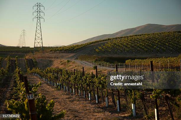 カリフォルニアのブドウ園 - サンタイネス ストックフォトと画像