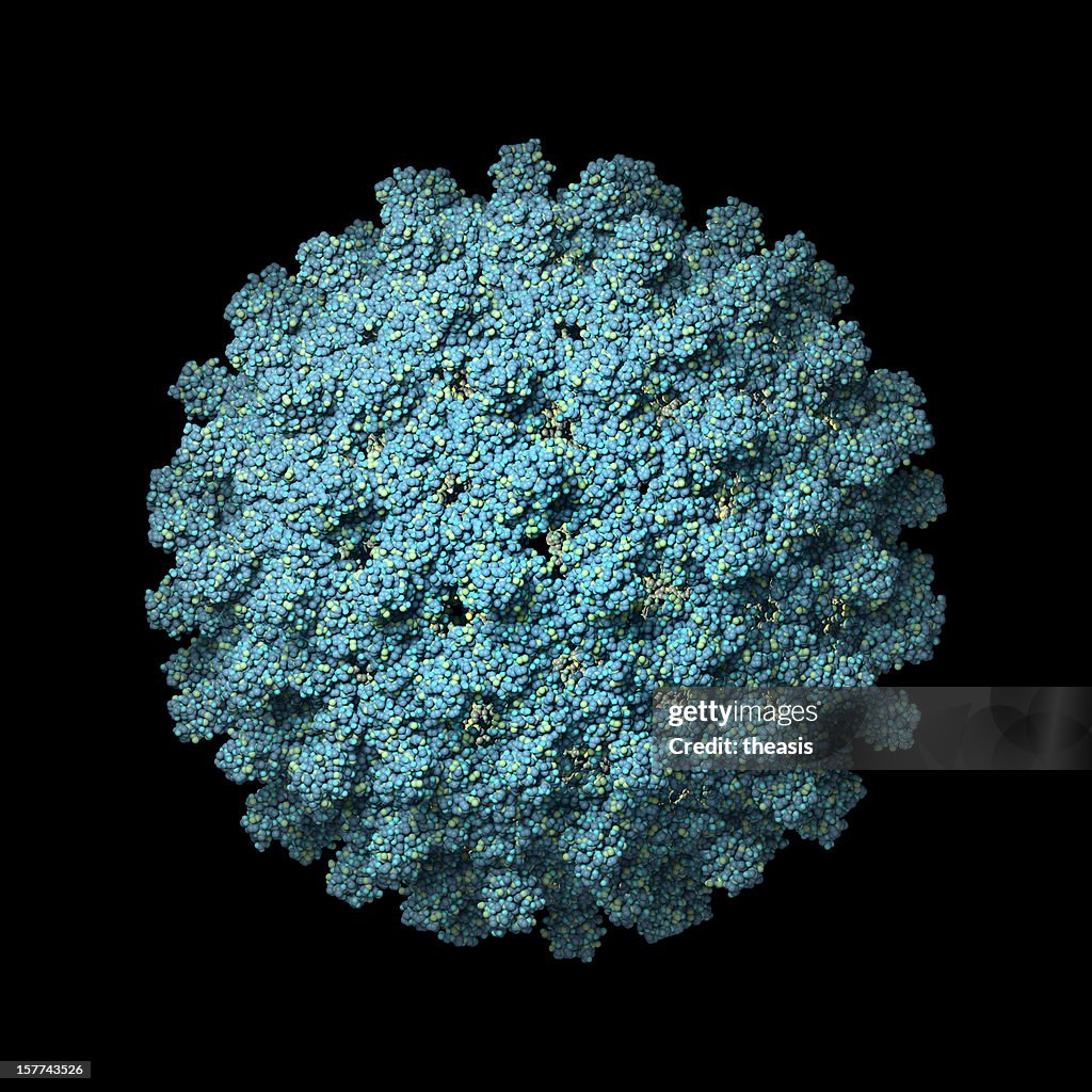 Hepatitis B virus isolated on a black background