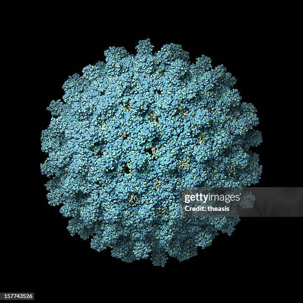 vírus da hepatite b capsídeo - hepatite imagens e fotografias de stock