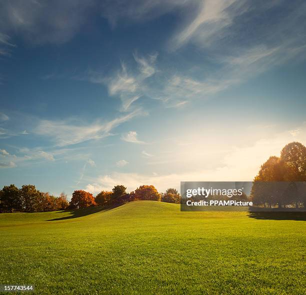 the park - fall park stock pictures, royalty-free photos & images