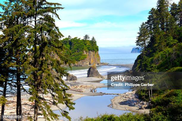 ruby beach, olympic national park, washington state - olympic national park stock pictures, royalty-free photos & images